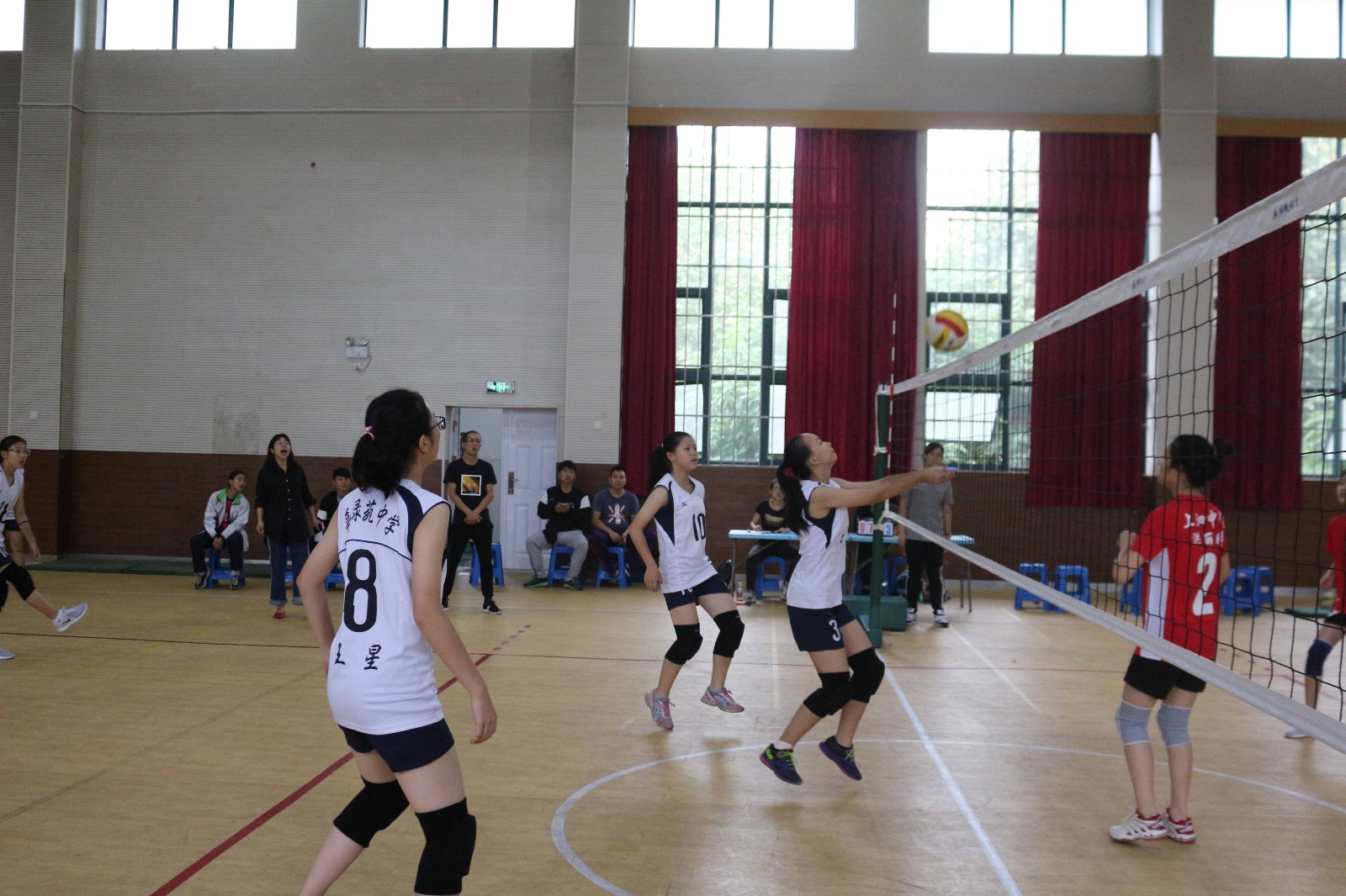 IMG_7215.jpg