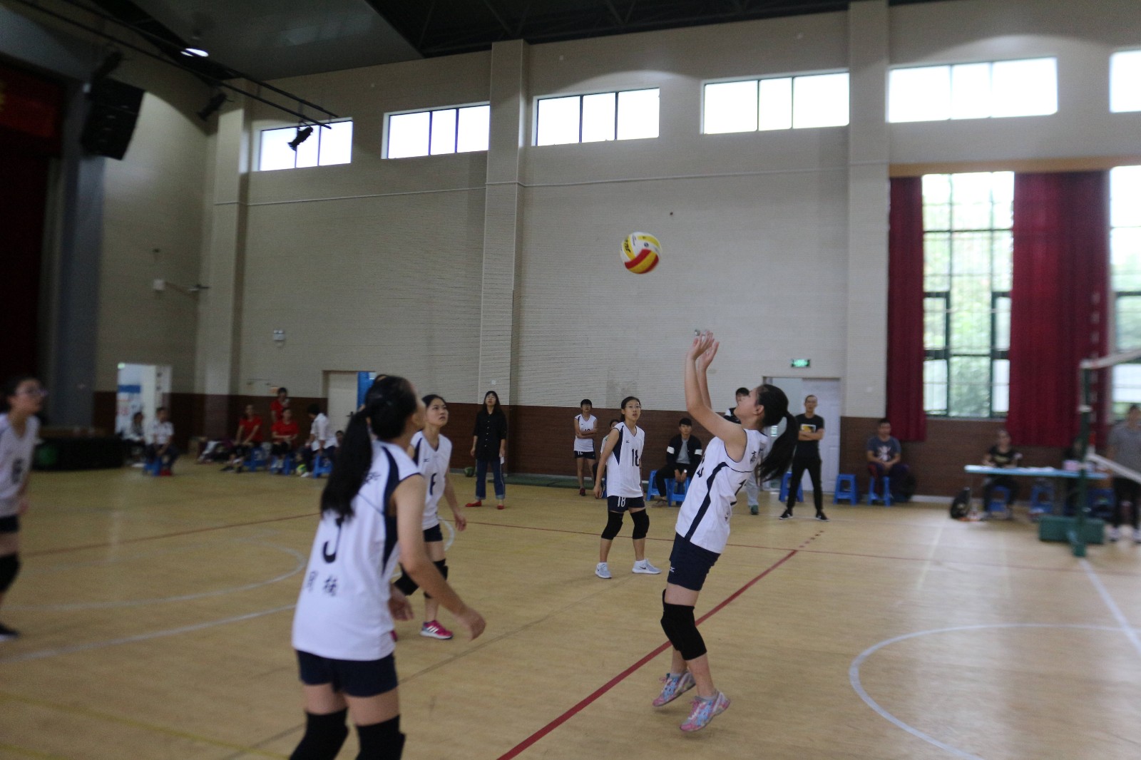 IMG_7222.jpg