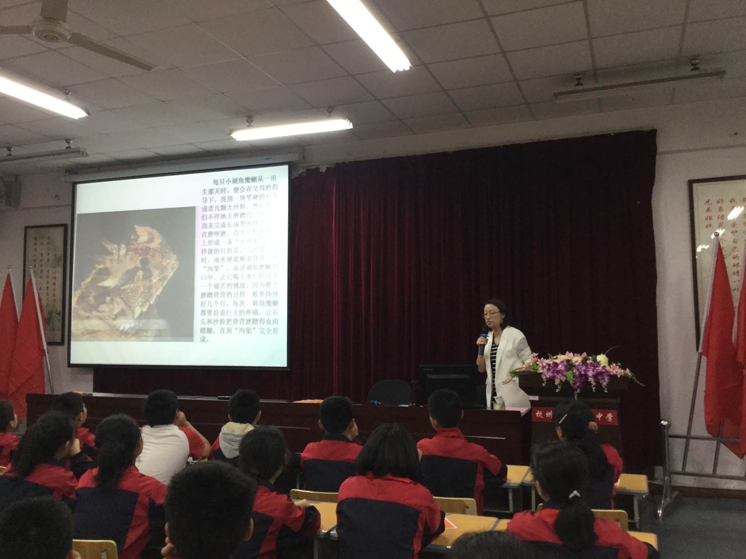 图片07.jpg