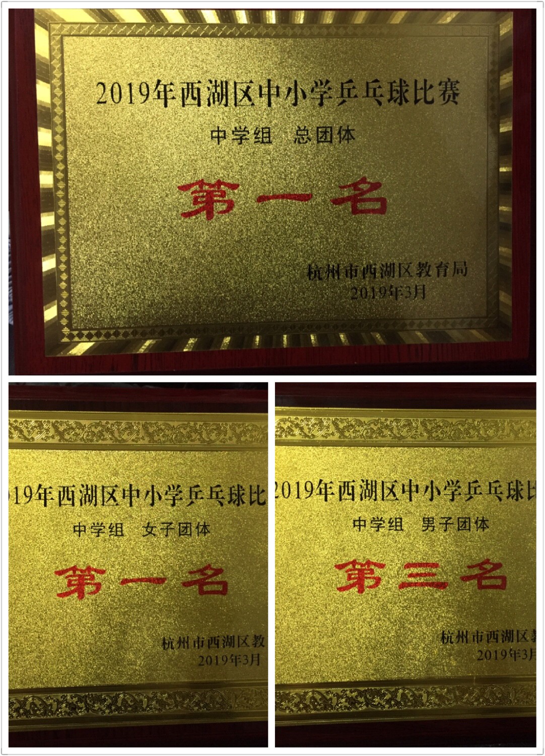 463e21a7fbf7001287d24f31dabd393.jpg