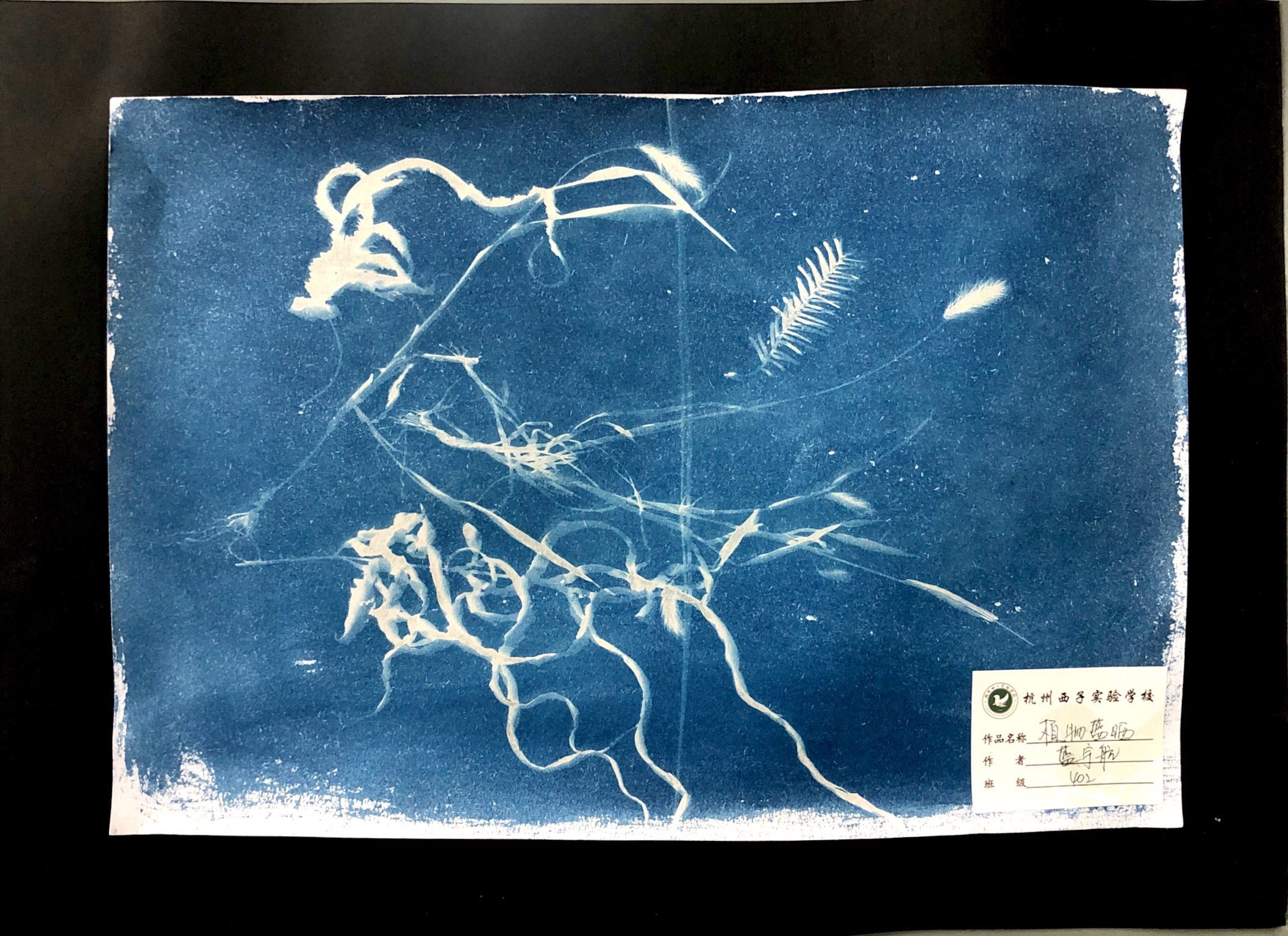12蓝晒坊作品.JPG