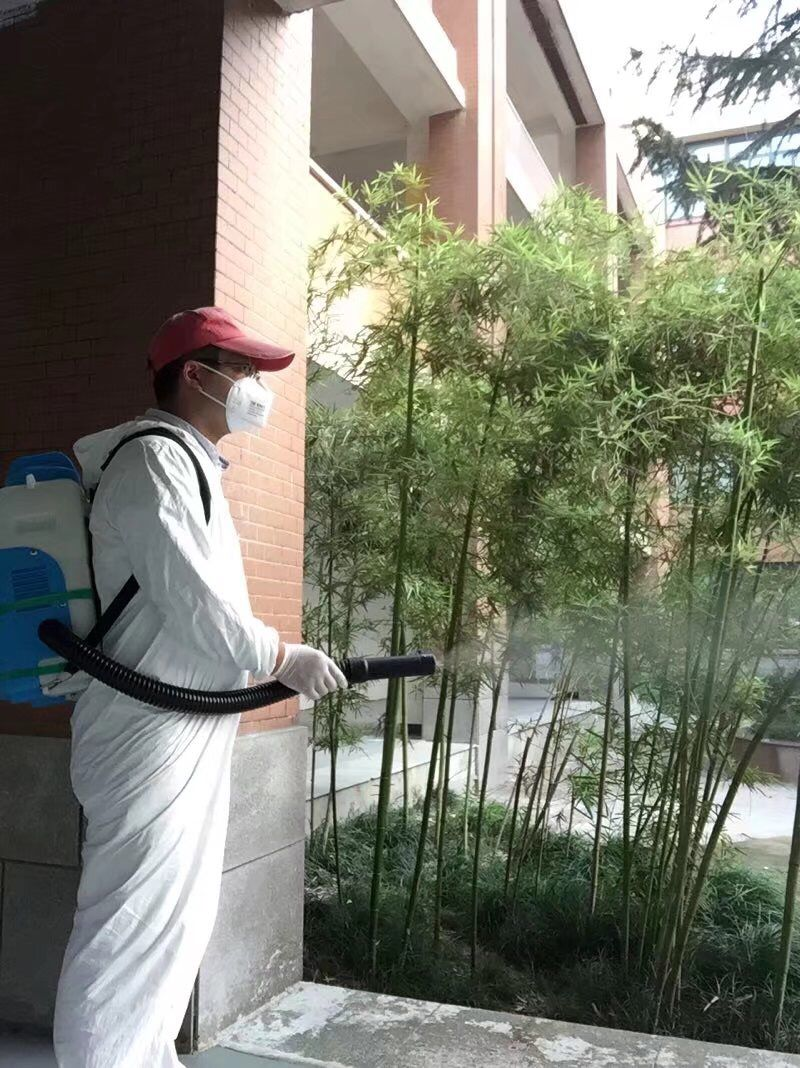 卫生.png