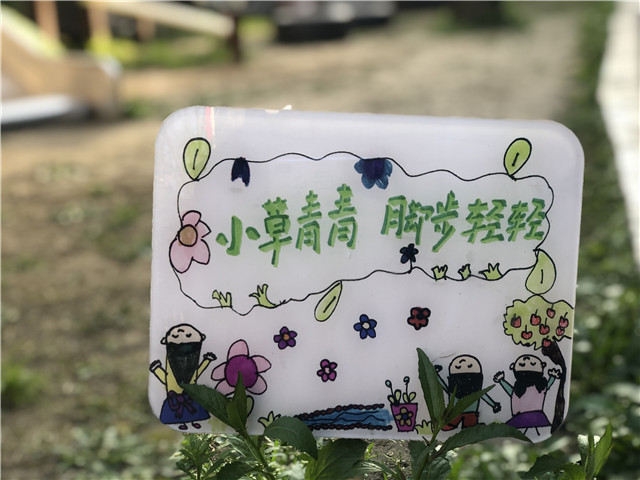 园区环境