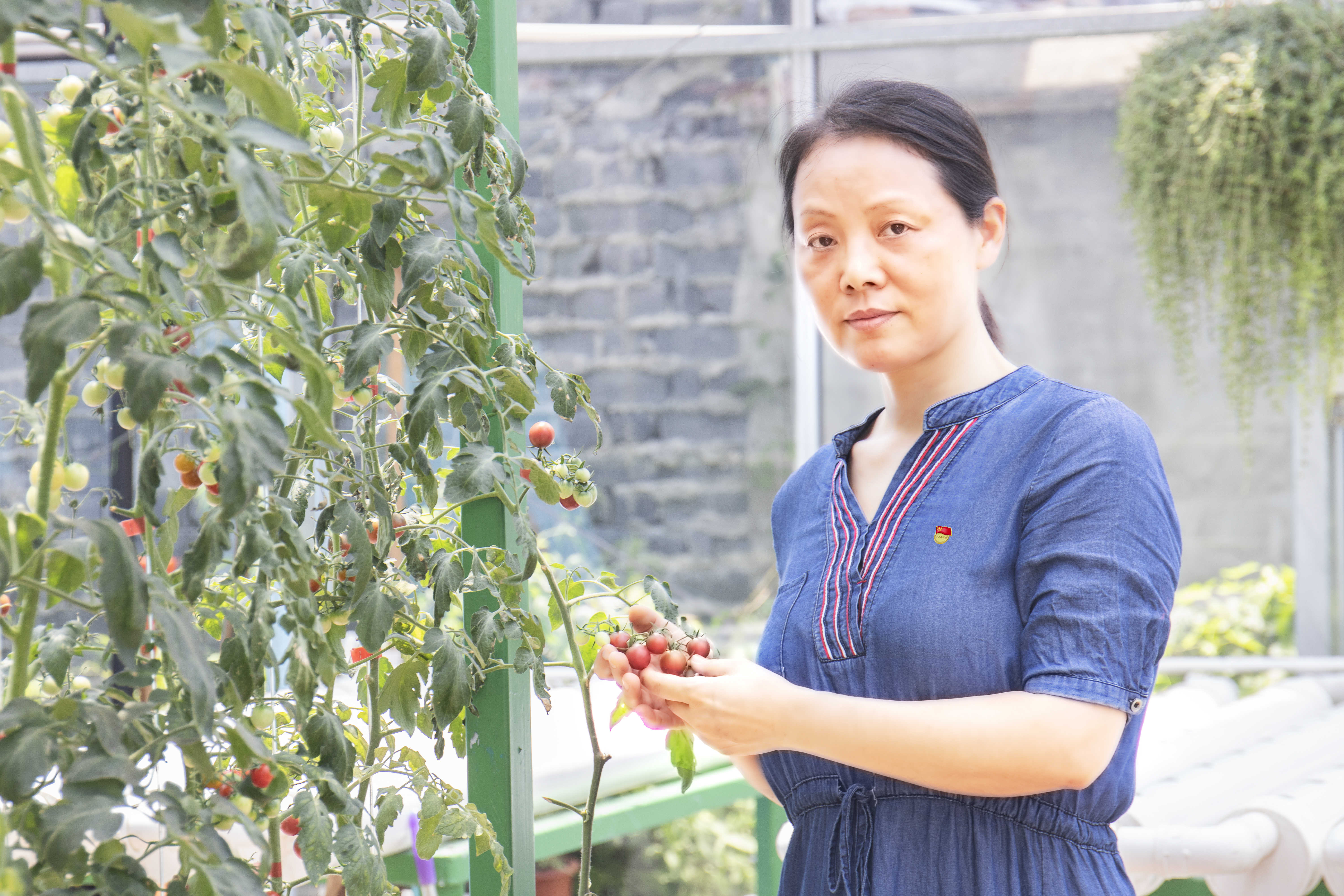 阳光女神——张若虹.jpg