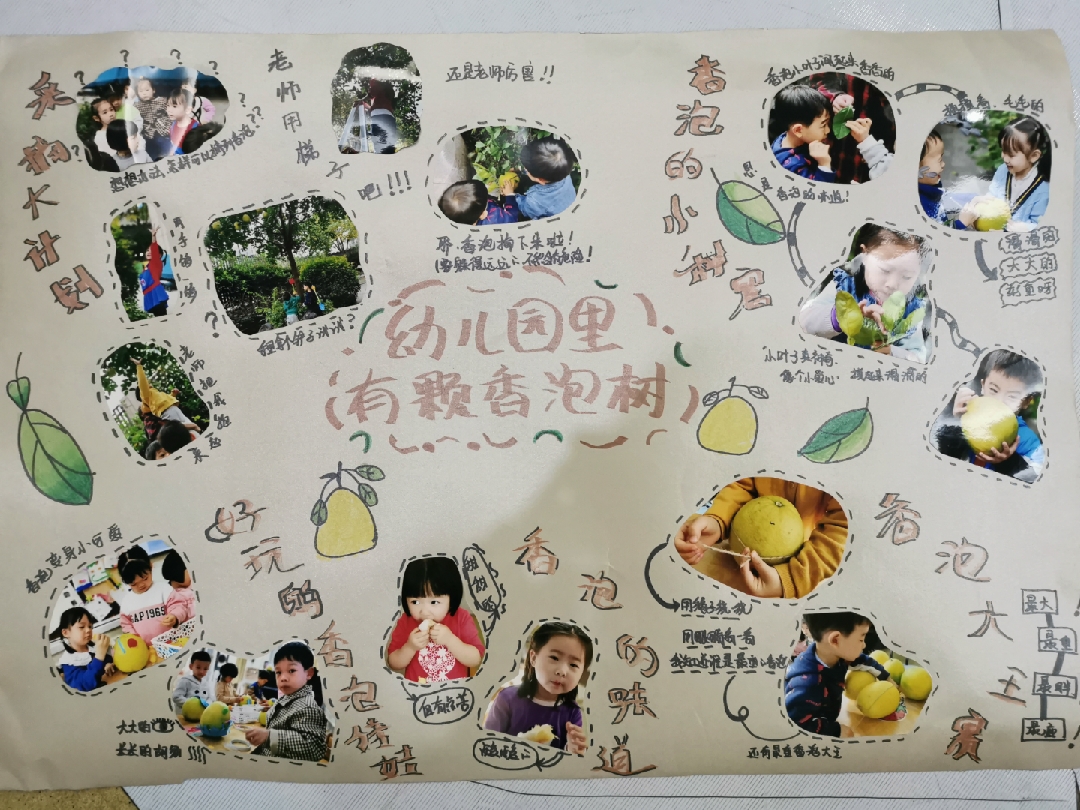 11月 幼儿园里有棵香泡树.jpg