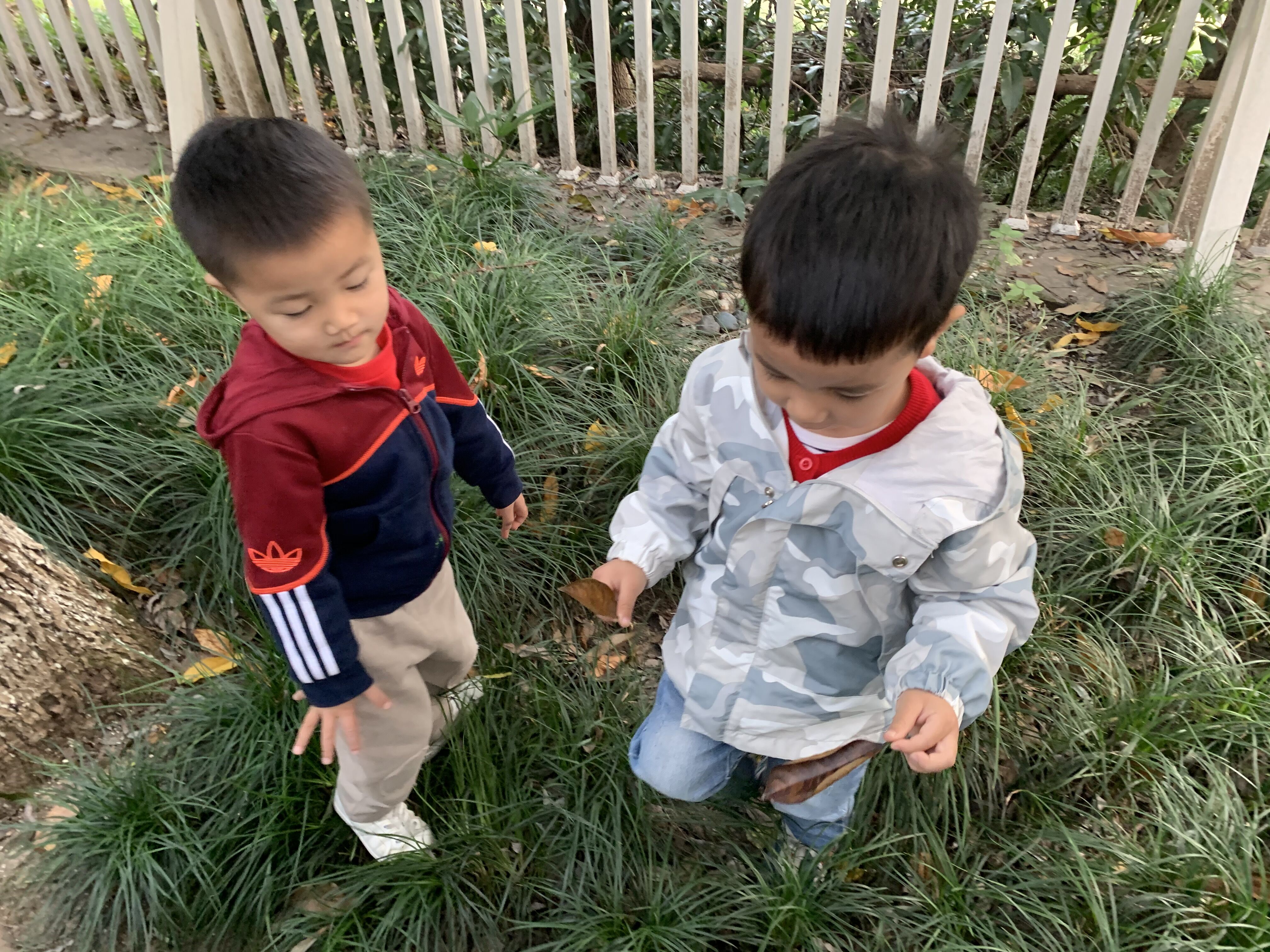 QQ图片20201207162214.jpg