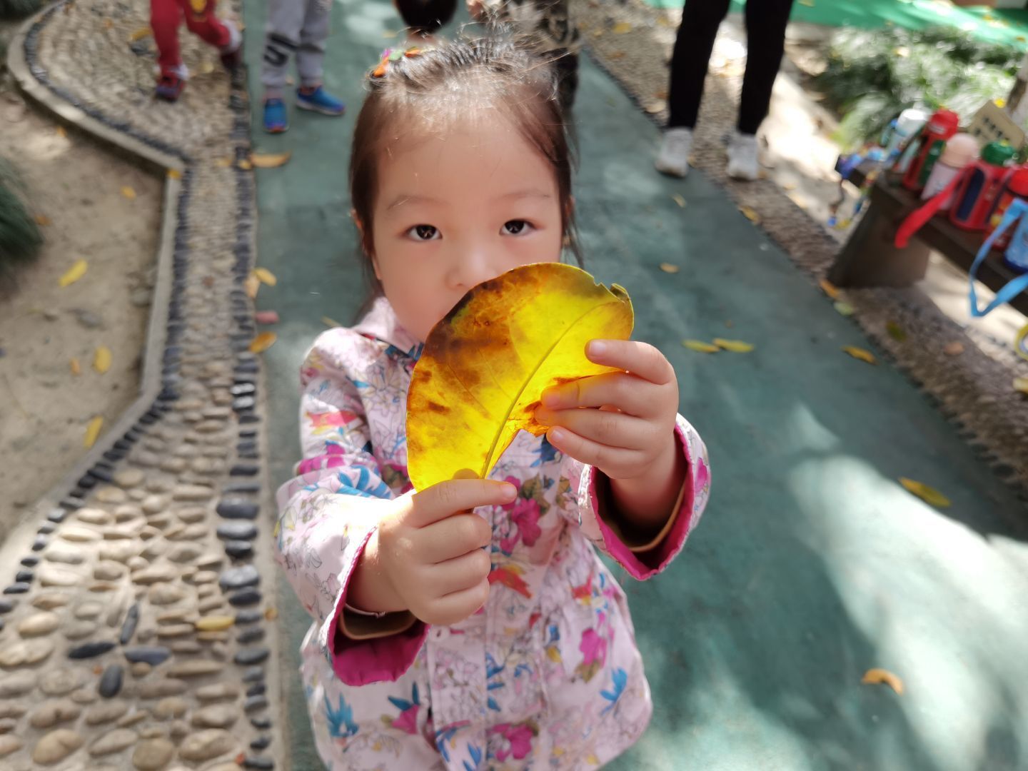 QQ图片20201122195502.jpg