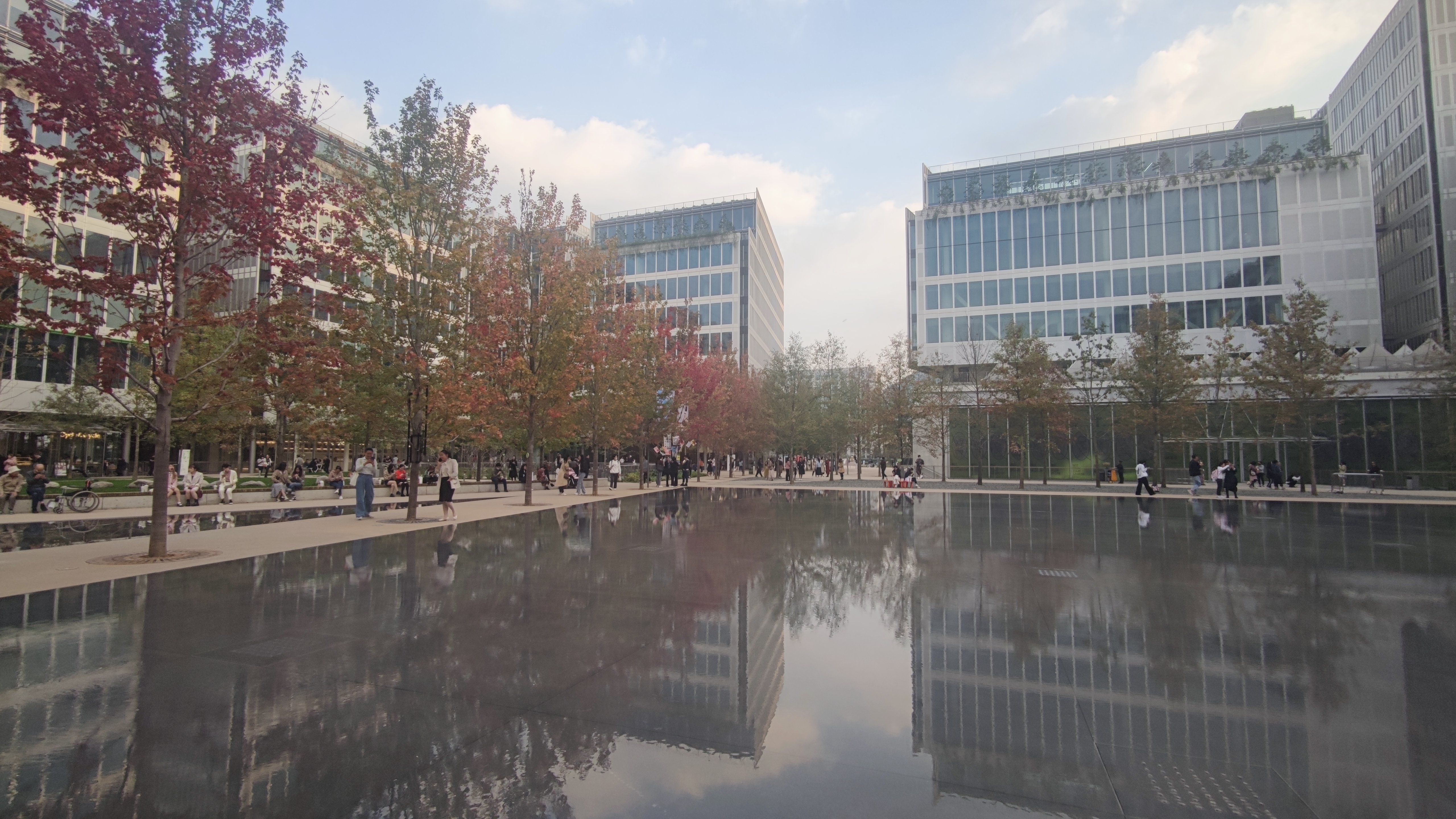 IMG_20201030_162246.jpg