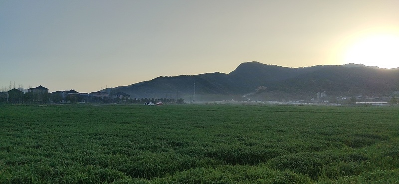 wx_camera_1616751941541.jpg
