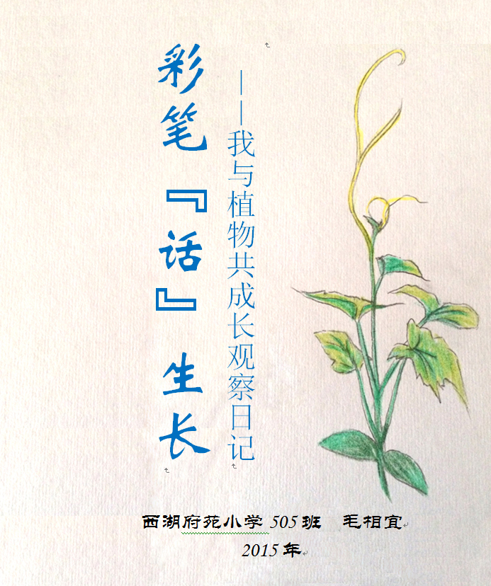 无标题-1.jpg