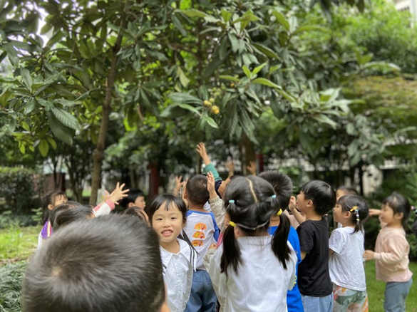 孩子们看见枇杷压满枝头的喜悦.jpg