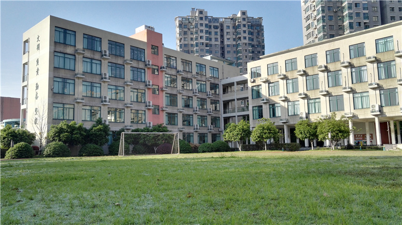 校园绿色美景.jpg